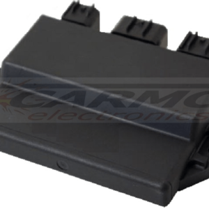 Yamaha-Grizzly-660-CDI-ECU-BRAIN-2002-2008